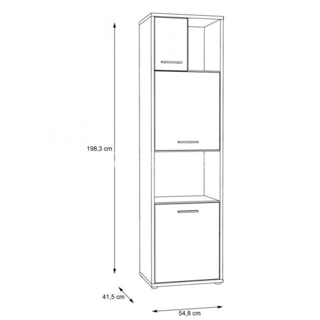 Pastatoma lentyna CHICORY 711-M213