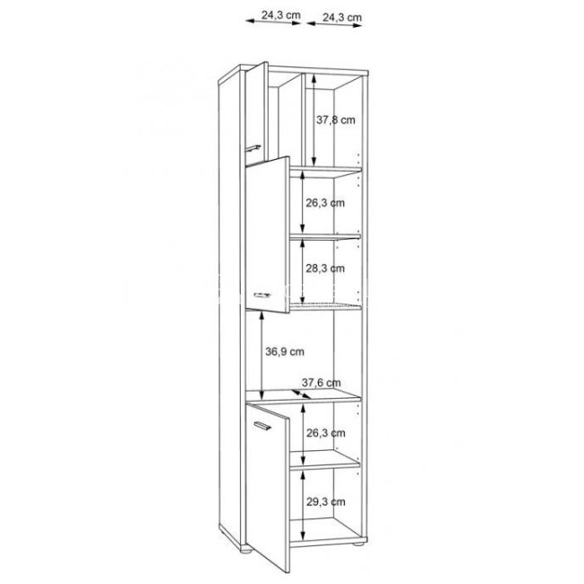 Pastatoma lentyna CHICORY 711-M213